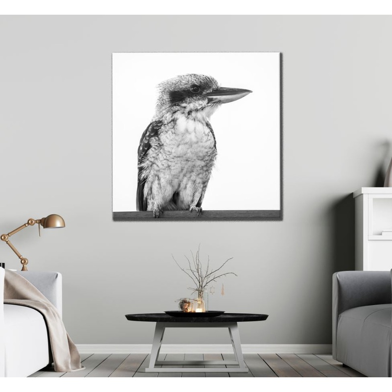 Square Canvas Kookaburra Bird B&W Closeup High Quality Print 100% Australian Made