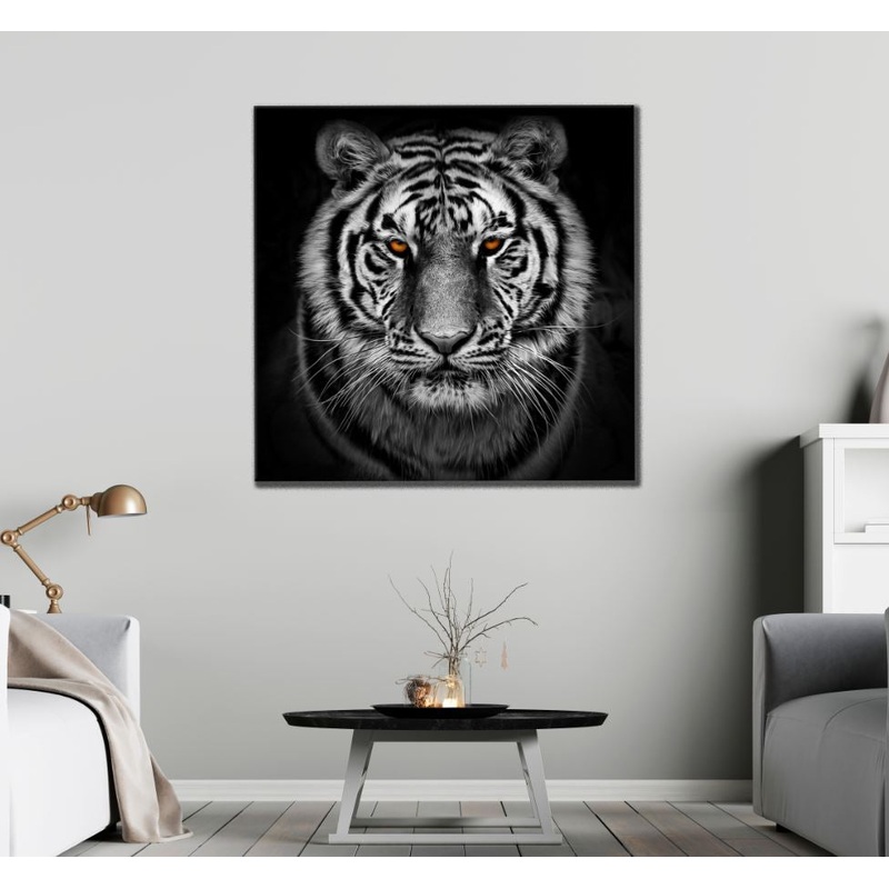 Square Canvas Tiger Portrait B&W Photograph High Quality Print 100% Australian Made