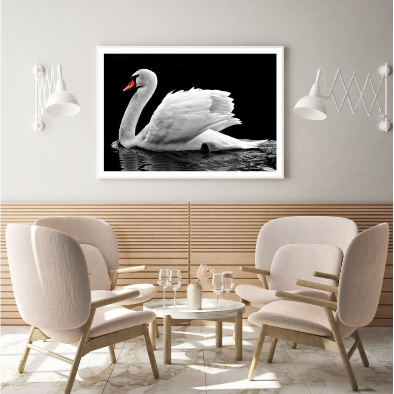 Swan on Lake Closeup Photograph Home Decor Premium Quality Poster Print Choose Your Sizes
