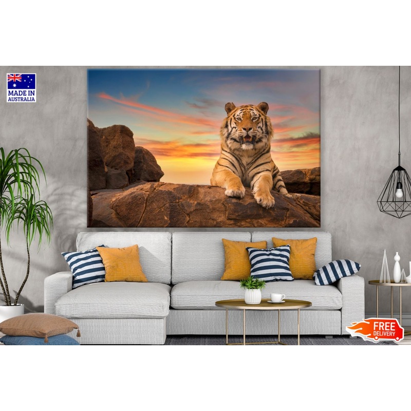 Tiger on a Rock Sunset Photograph Print 100% Australian Made