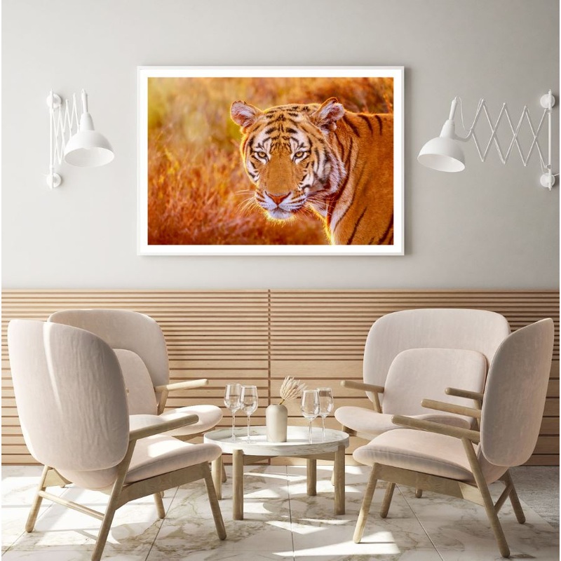 Tiger Portrait Photograph Home Decor Premium Quality Poster Print Choose Your Sizes