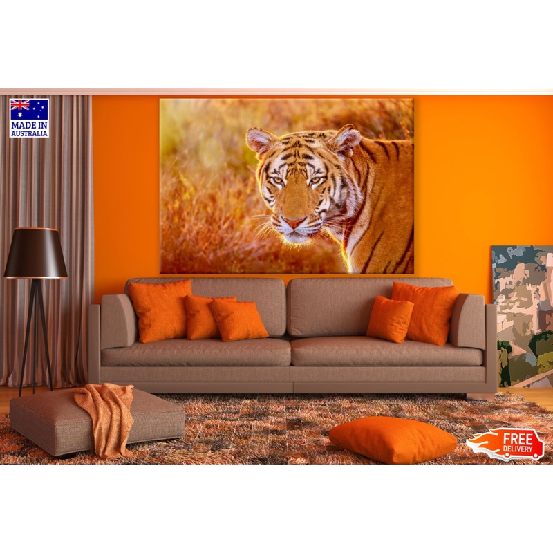 Tiger Portrait Photograph Print 100% Australian Made