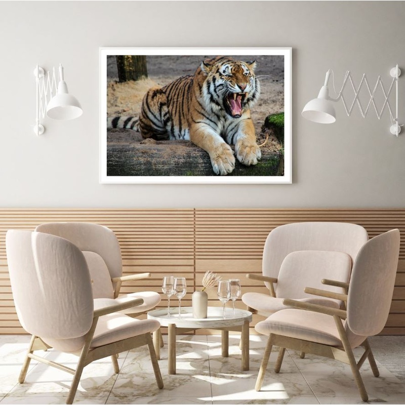 Tiger Roaring Closeup Photograph Home Decor Premium Quality Poster Print Choose Your Sizes