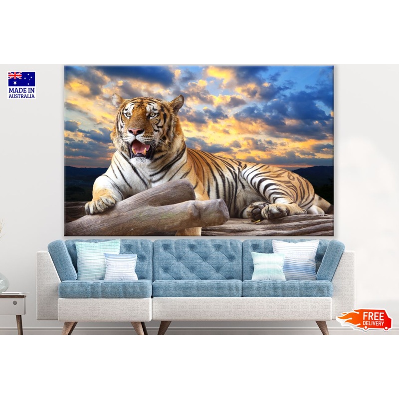 Tiger Sitting on Trunk Photograph Print 100% Australian Made