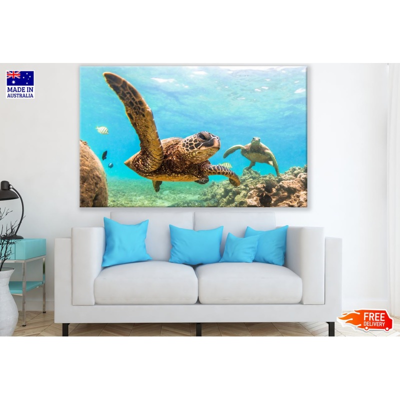 Turtles in Scenery Sea Photograph Print 100% Australian Made