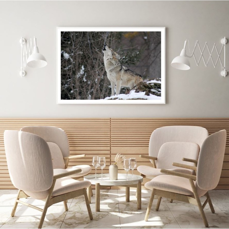 Wolf Hooting Closeup Photograph Home Decor Premium Quality Poster Print Choose Your Sizes