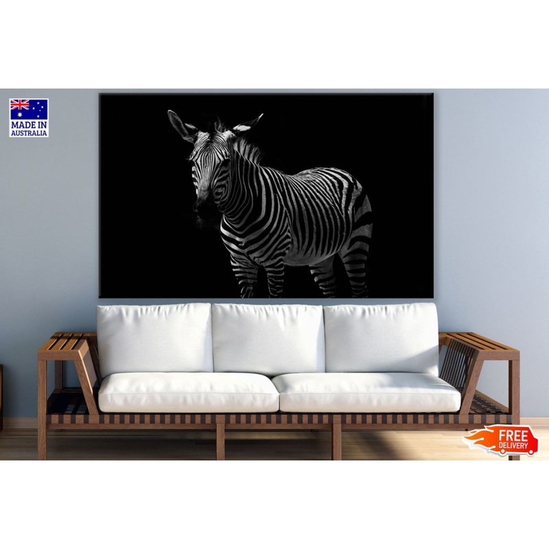 Zebra Photograph View Print 100% Australian Made