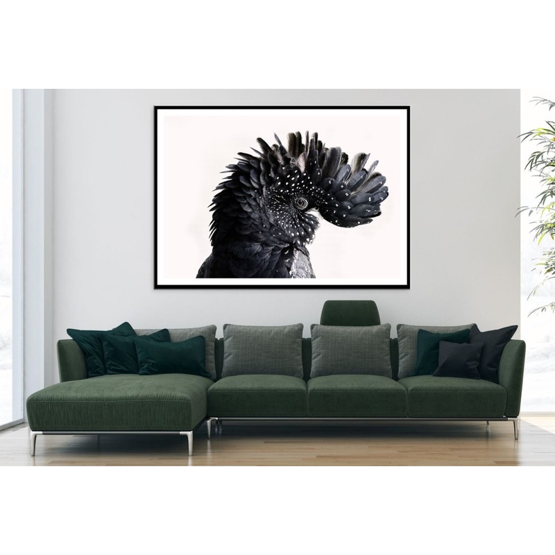 Black Bird Portrait Photograph Home Decor Premium Quality Poster Print Choose Your Sizes