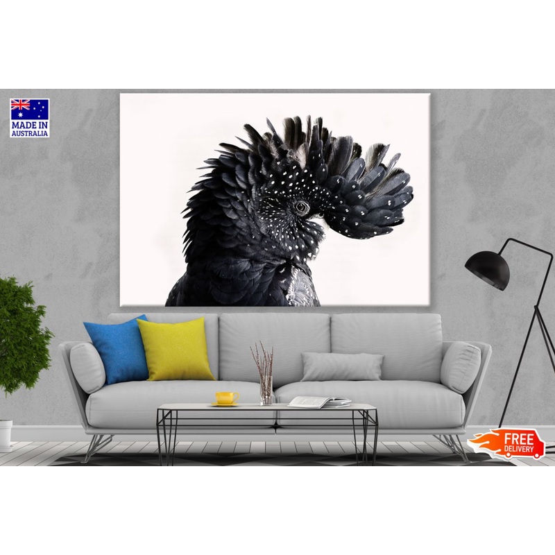 Black Bird Portrait Photograph Print 100% Australian Made