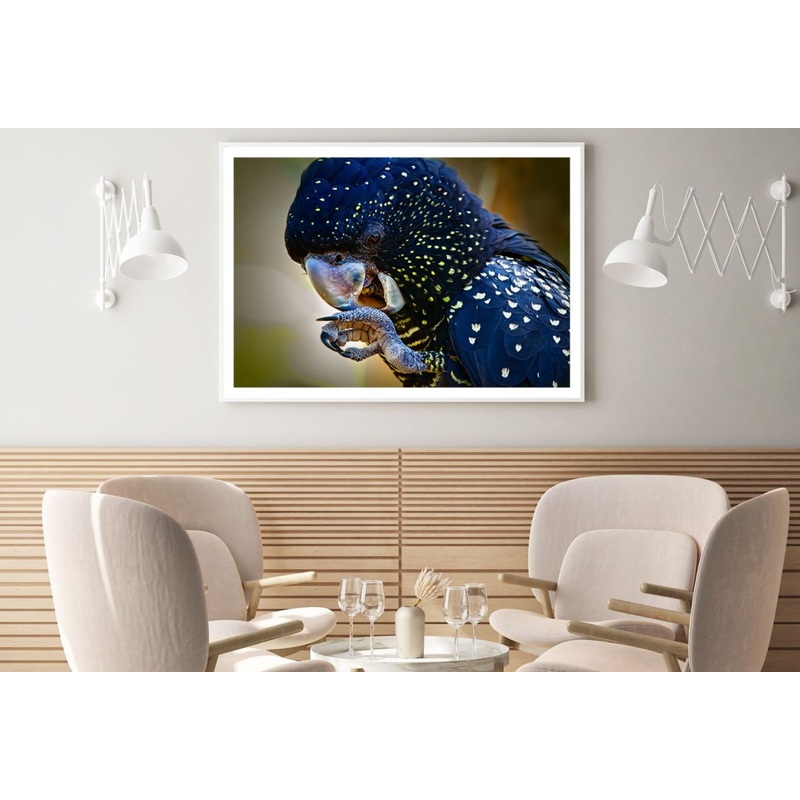 Blue & Yellow Parrot Photograph Home Decor Premium Quality Poster Print Choose Your Sizes