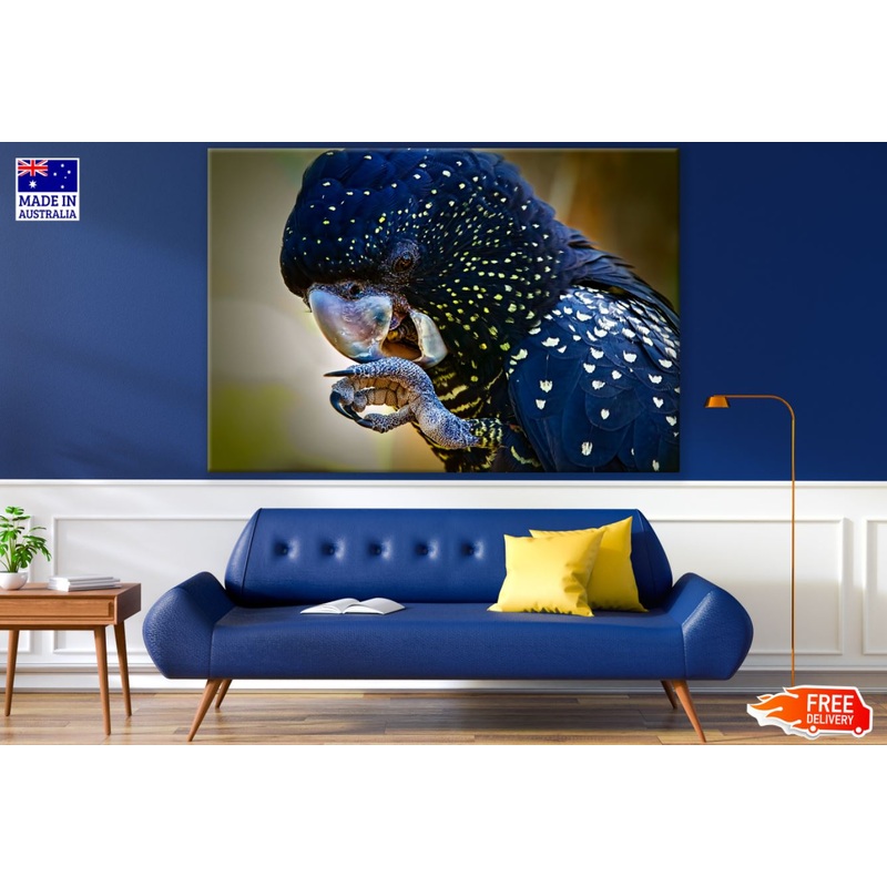Blue & Yellow Parrot Photograph Print 100% Australian Made