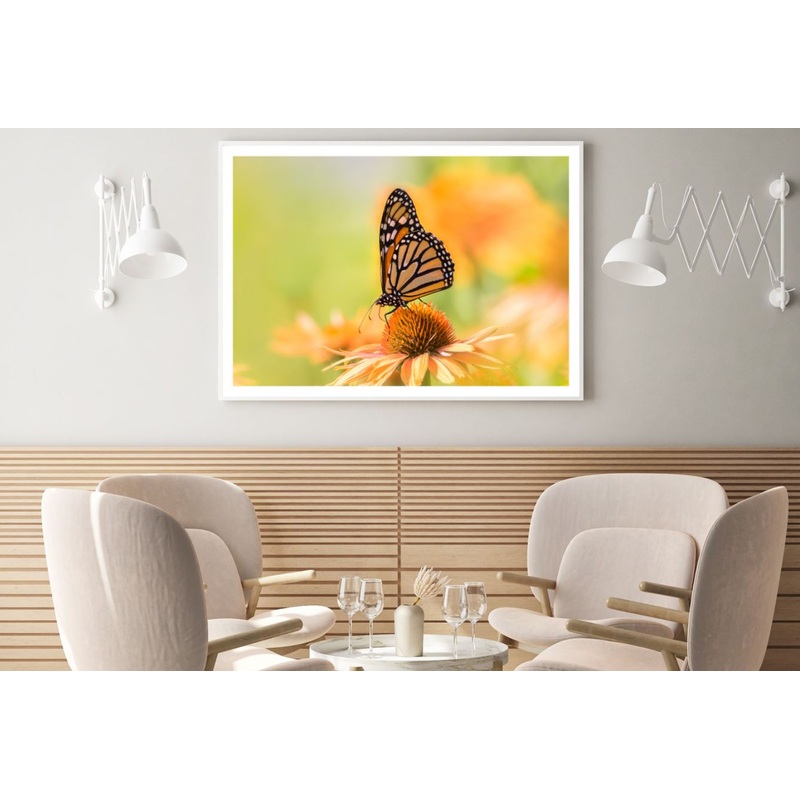 Butterfly On a Flower Photograph Home Decor Premium Quality Poster Print Choose Your Sizes