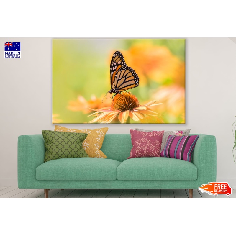 Butterfly On a Flower Photograph Print 100% Australian Made