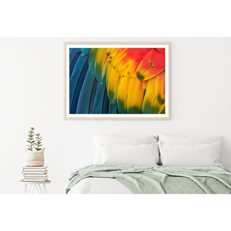 Colorful Bird Feathers Photograph Home Decor Premium Quality Poster Print Choose Your Sizes