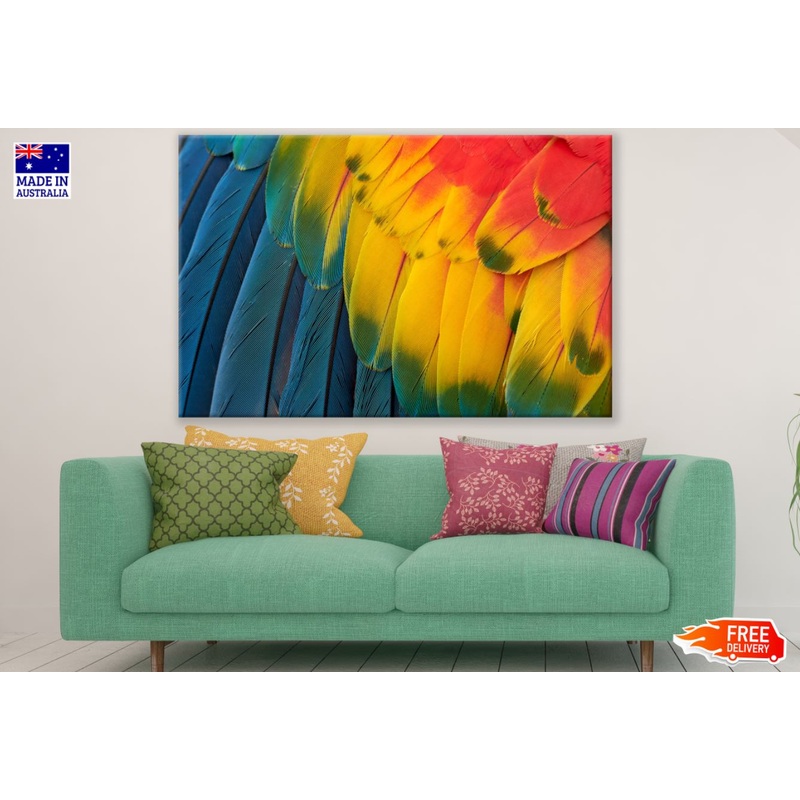 Colorful Bird Feathers Photograph Paint Print 100% Australian Made