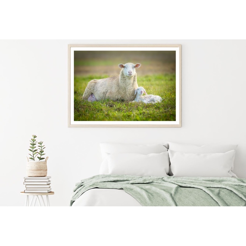 Sheep & Lamb on Grass Photograph Home Decor Premium Quality Poster Print Choose Your Sizes