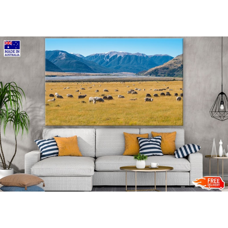 Sheeps on Meadow Photograph Print 100% Australian Made