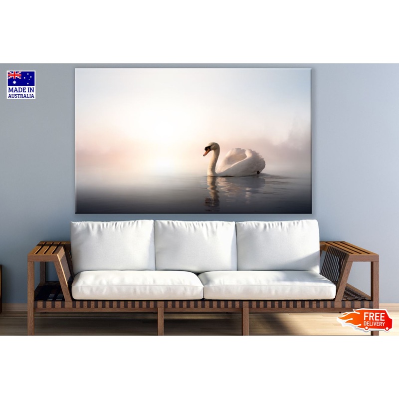 Swan on a Lake Photograph Print 100% Australian Made