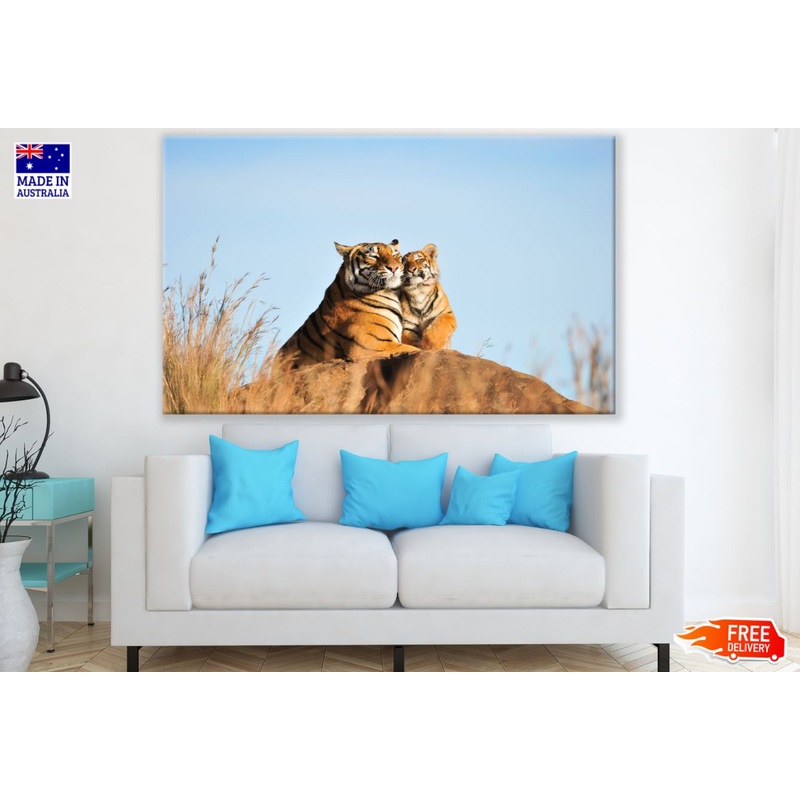 Tiger Pair on a Rock Photograph Print 100% Australian Made