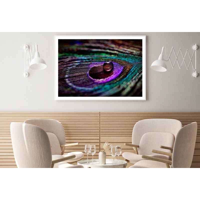 Waterdrops on Peacock Feathers Photograph Home Decor Premium Quality Poster Print Choose Your Sizes