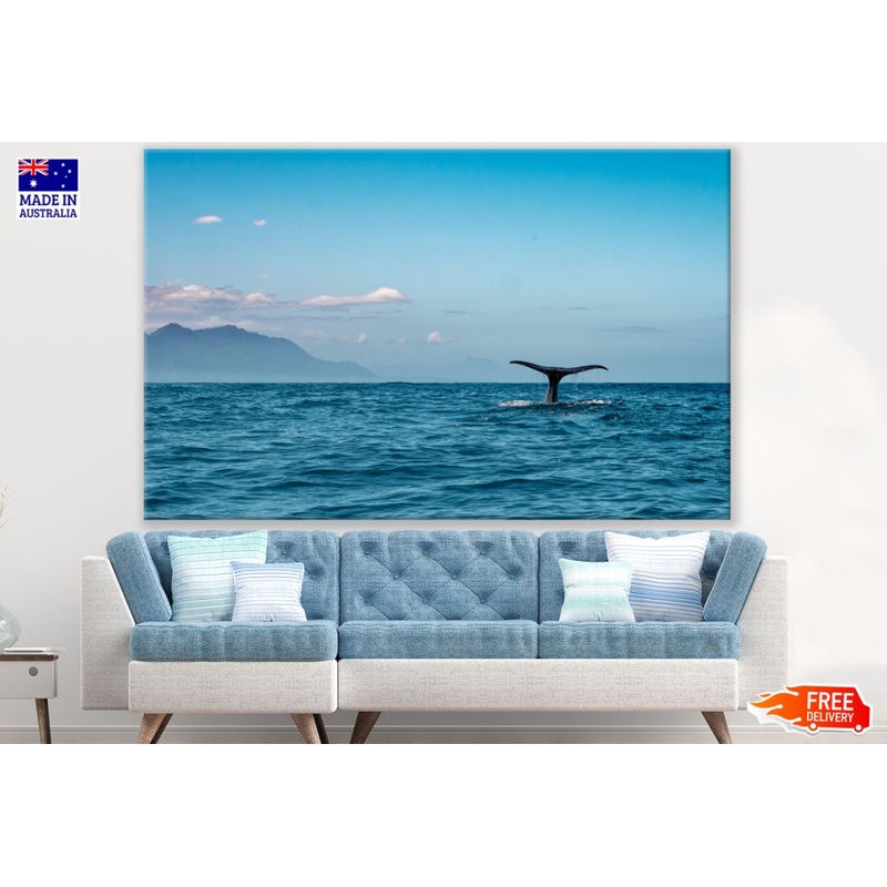 Whale in Sea Photograph Print 100% Australian Made