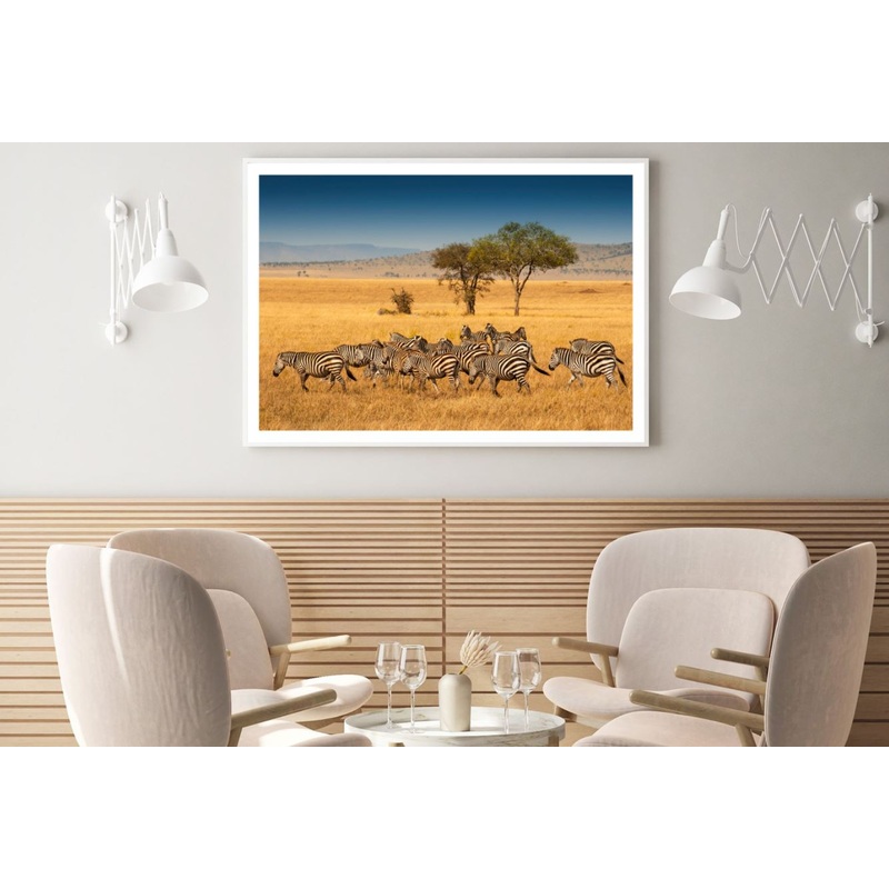 Zebras Running Photograph Home Decor Premium Quality Poster Print Choose Your Sizes