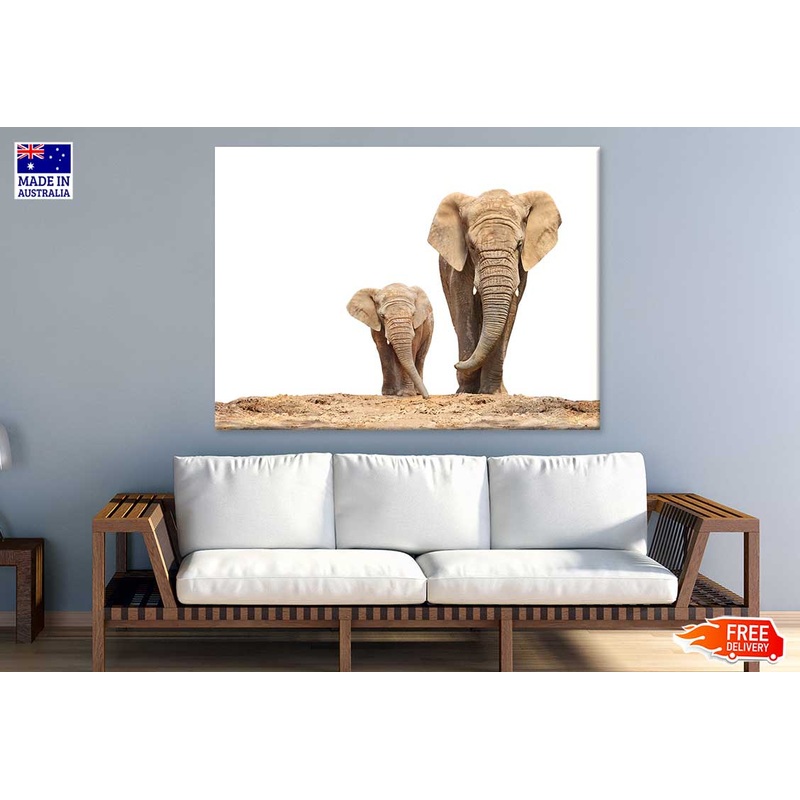 African Elephant Mom & Baby View Photograph Print 100% Australian Made