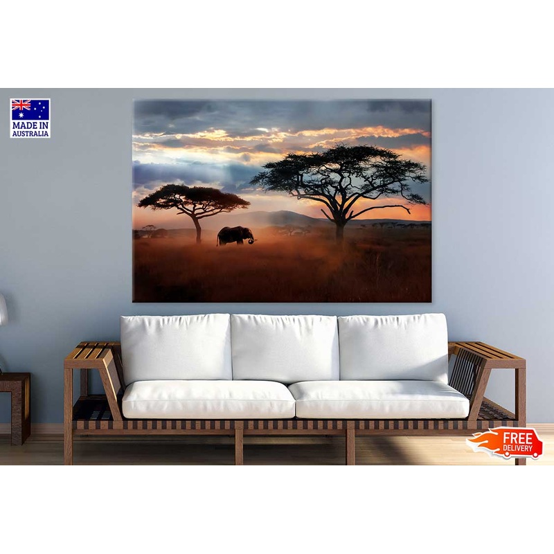 African Elephant Serengeti Park Photograph Print 100% Australian Made