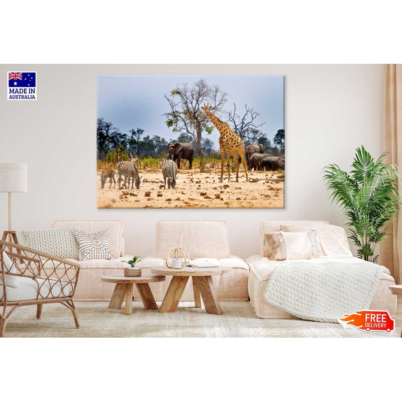 Animals Hwange National Park View Photograph Print 100% Australian Made