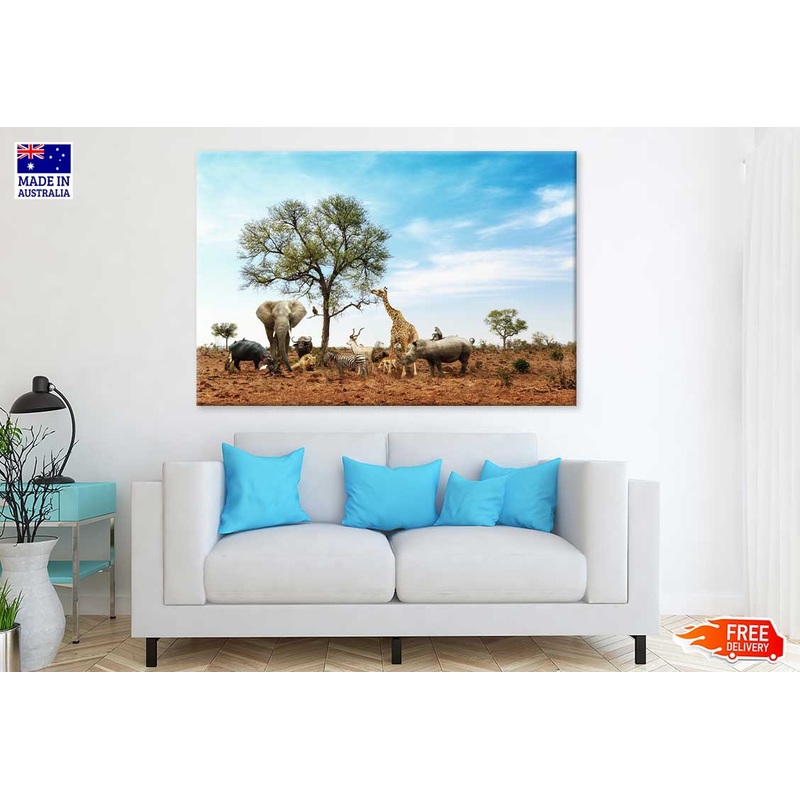 Animals in Kruger National Park Photograph Print 100% Australian Made