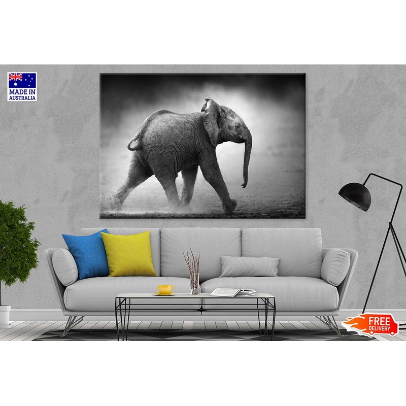 Baby Elephant B&W View Photograph Print 100% Australian Made