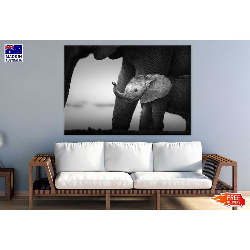 Baby Elephant Closeup B&W Photograph Print 100% Australian Made