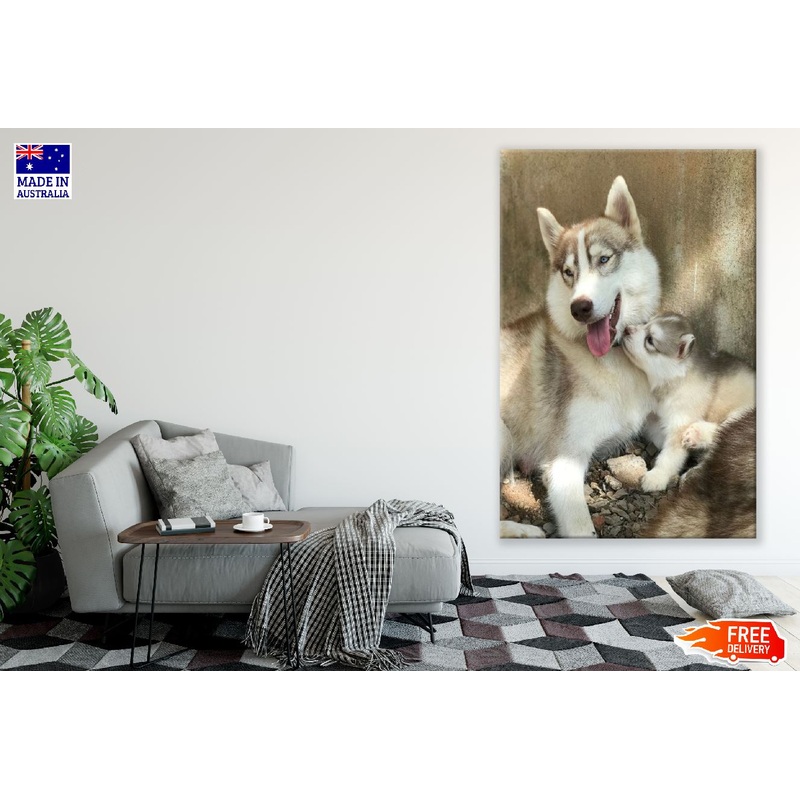 Baby Siberian Husky Puppies Photograph Print 100% Australian Made