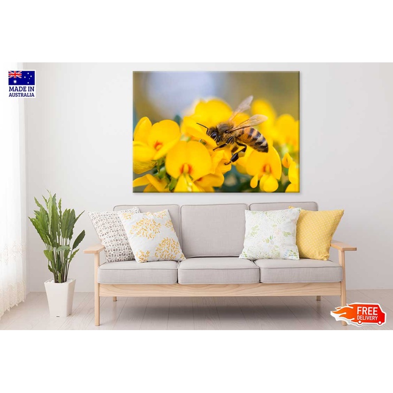 Bee on Flower Closeup Photograph Print 100% Australian Made