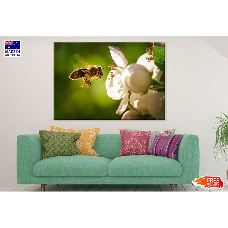 Bee on Flower View Photograph Print 100% Australian Made