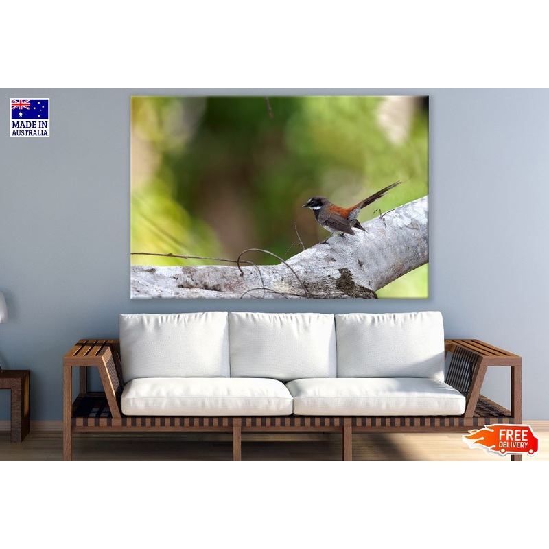 Bird on Tree Branch Closeup Photograph Print 100% Australian Made