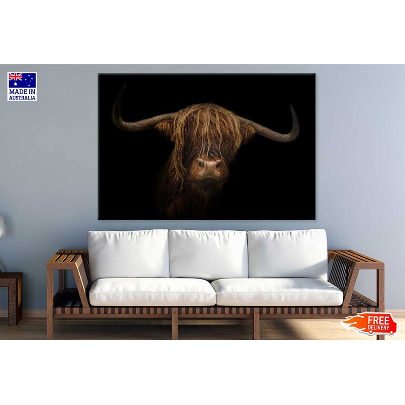 Bison on Dark Closeup Photograph Print 100% Australian Made