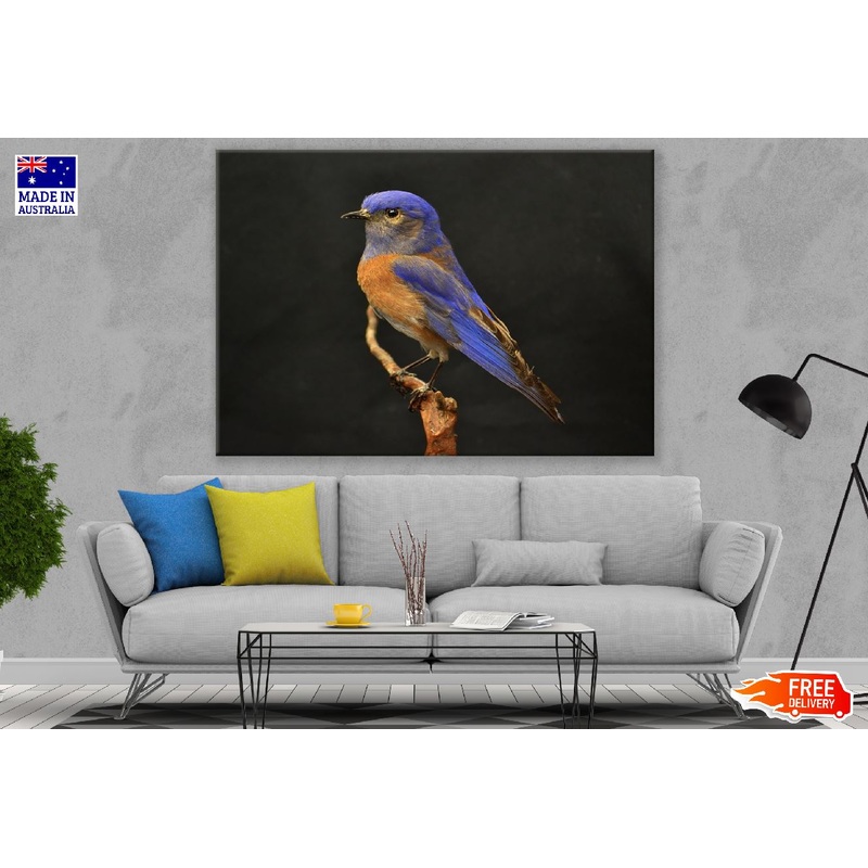 Blue and Brown Bird on Tree Trunk Photograph Print 100% Australian Made