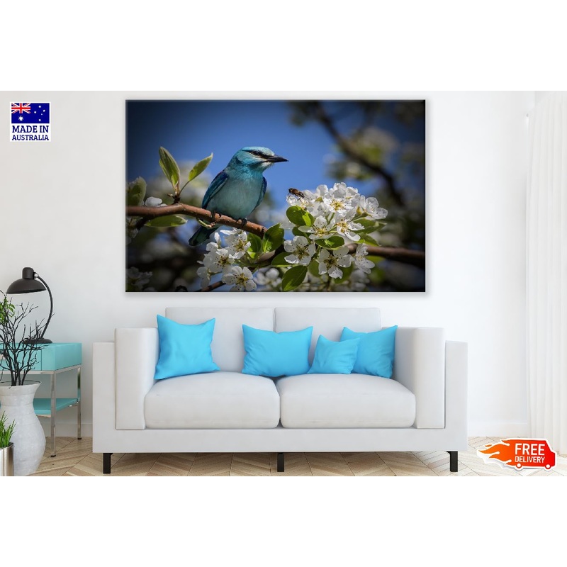 Blue Bird on Blossom Flower Branch Photograph Print 100% Australian Made