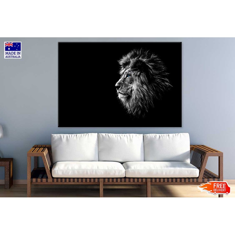 Blue Eye Lion in Dark Photograph Print 100% Australian Made