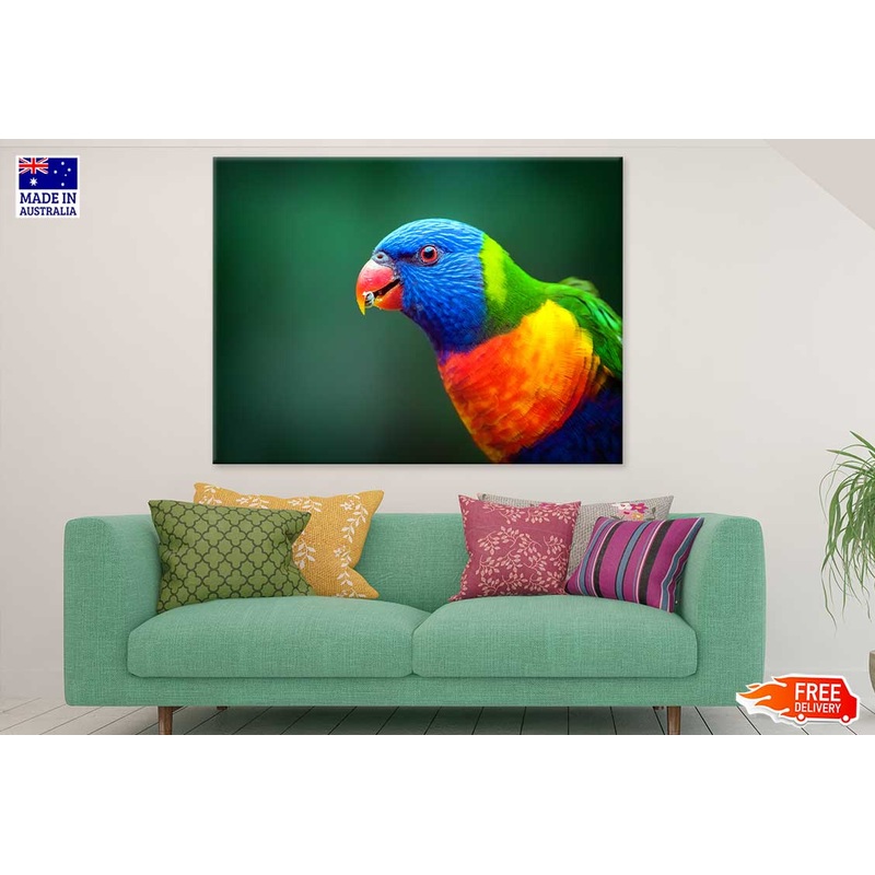 Blue Orange & Green Parrot View Photograph Print 100% Australian Made