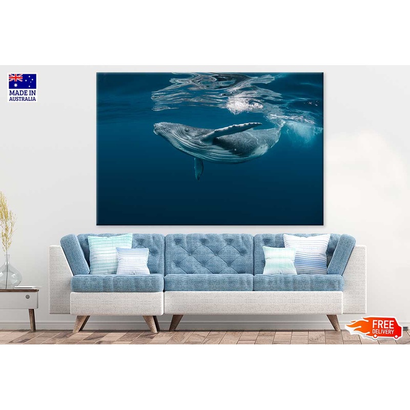 Blue Whale in Ocean Photograph Print 100% Australian Made