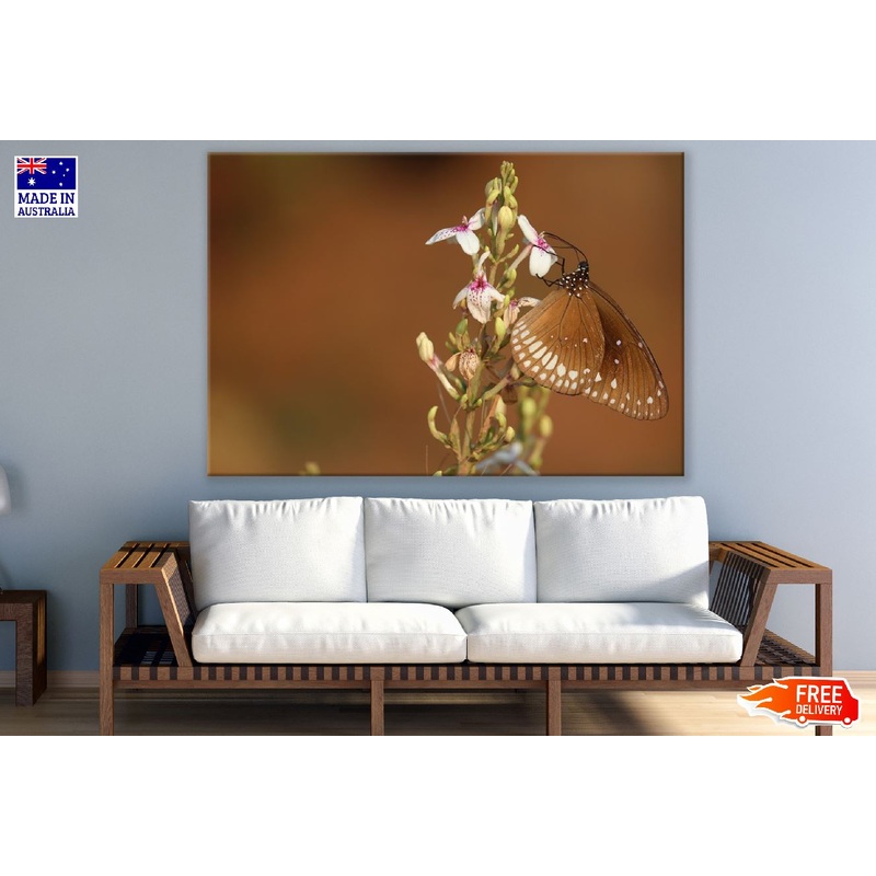 Butterfly with Flowers Closeup Photograph Print 100% Australian Made