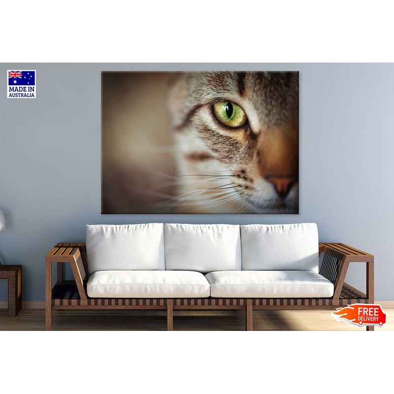 Cat Yellow Eye Closeup Photograph Print 100% Australian Made