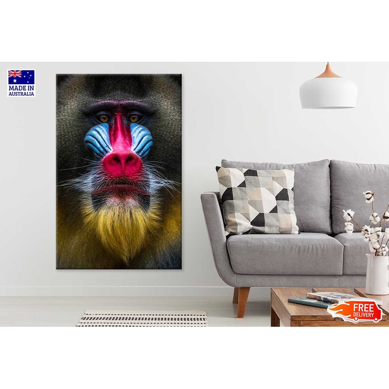 Colorful Baboon Closeup View Photograph Print 100% Australian Made