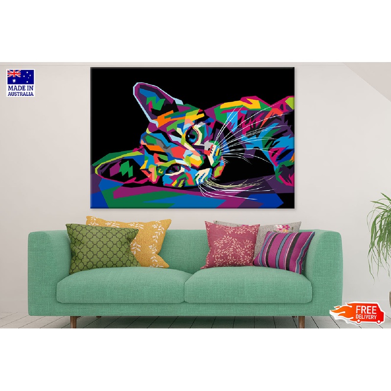 Colorful Cat Sleeping Abstract Design Print 100% Australian Made
