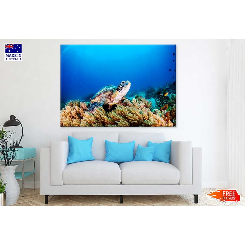 Sea Turtle Underwater Photograph Print 100% Australian Made