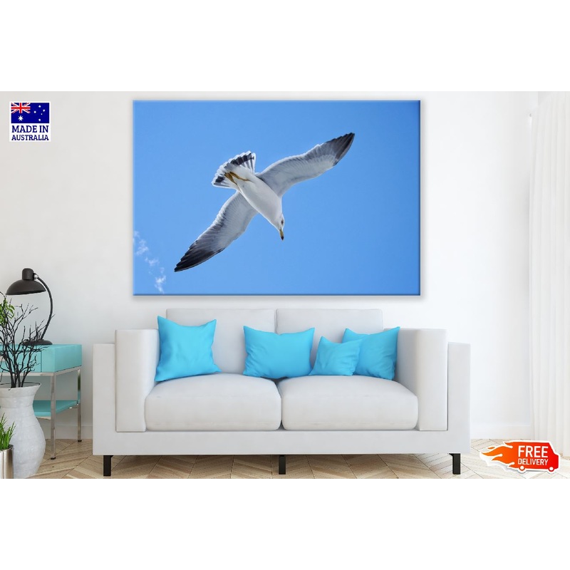 Seagull Bird Flying on Blue Sky Photograph Print 100% Australian Made