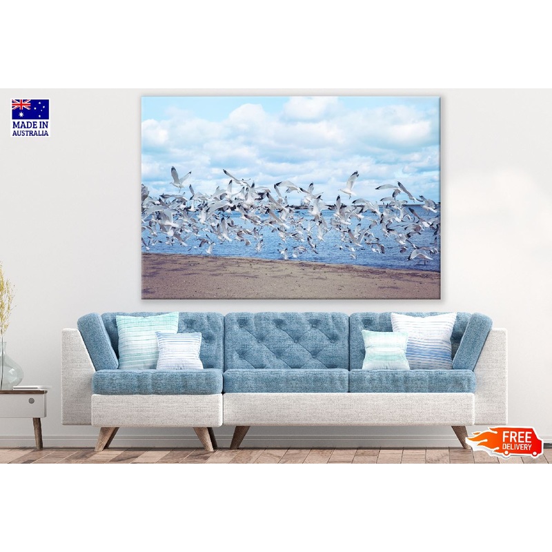 Seagull Birds Flying Above the Sea Photograph Print 100% Australian Made