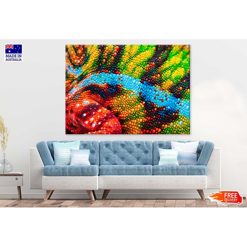 Skin View of a Chameleon Photograph Print 100% Australian Made